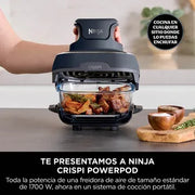 Freidora de Aire Portátil de Cristal 4 en 1 Ninja FN101EUGY Crispi